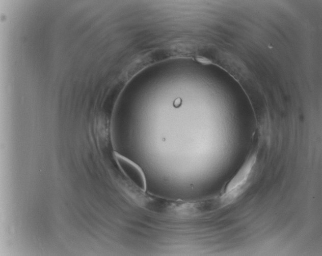 X0000063510186200601271820