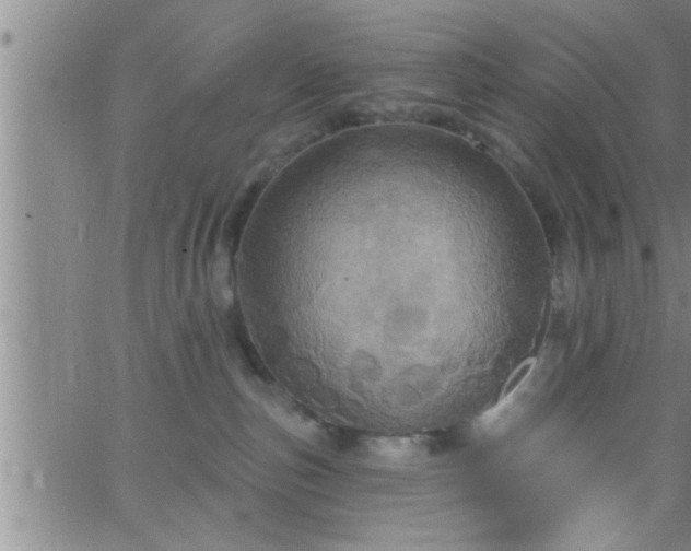 X0000063510187200601271820