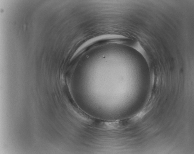 X0000063510188200601271820