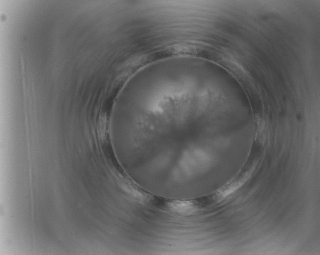 X0000063510189200601271820