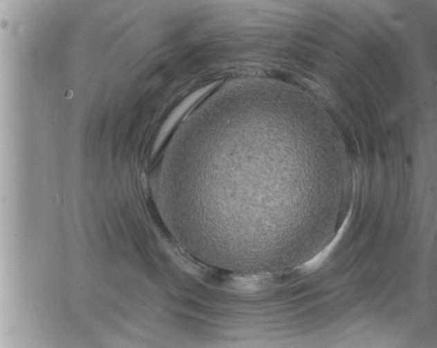 X0000063510190200601271820