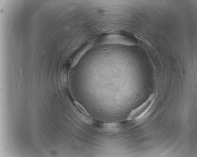 X0000063510192200601271820