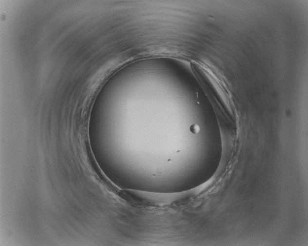 X0000063510193200601271819