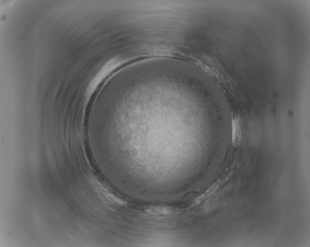 X0000063510195200601271819