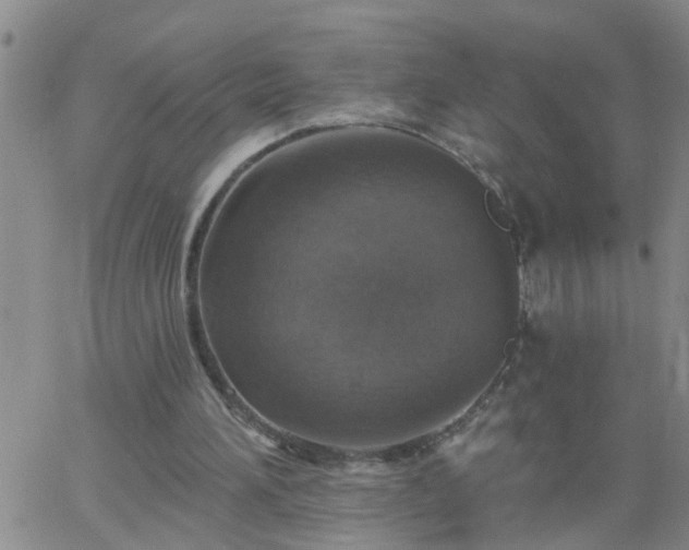 X0000063510196200601271819