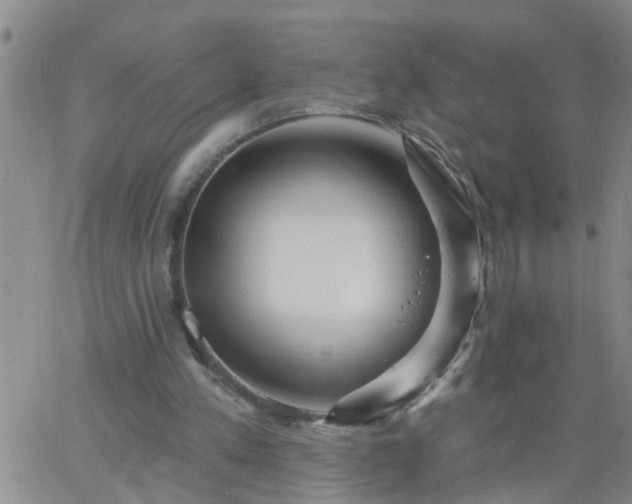 X0000063510197200601271819