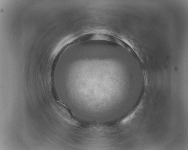 X0000063510199200601271819