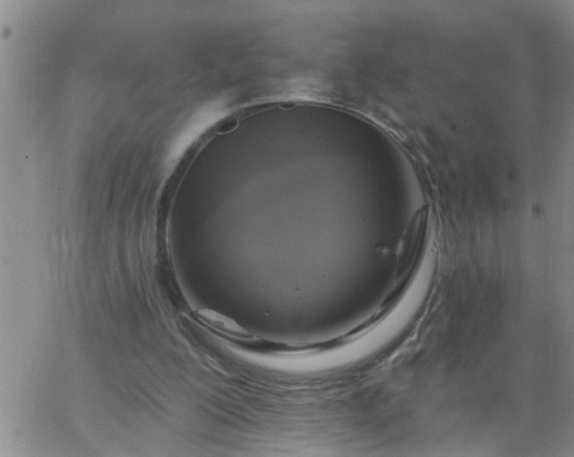 X0000063510200200601271819