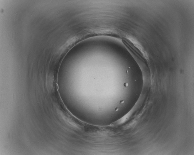 X0000063510201200601271819