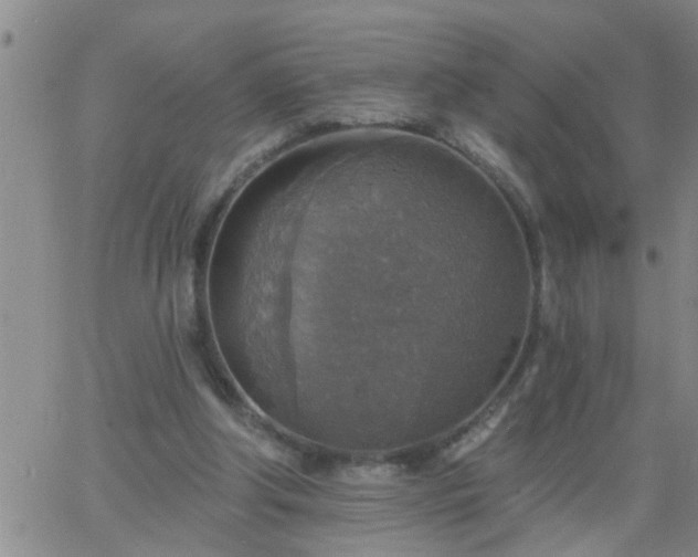 X0000063510202200601271819