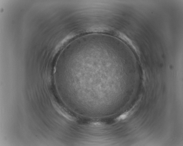 X0000063510203200601271819