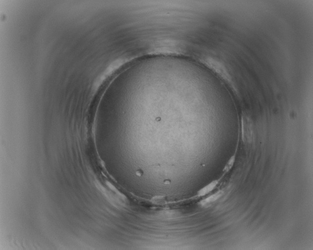 X0000063510204200601271819