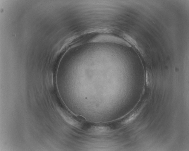 X0000063510205200601271819