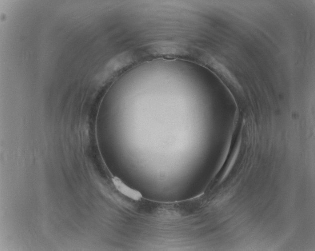 X0000063510207200601271819