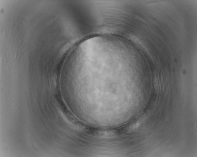 X0000063510208200601271819