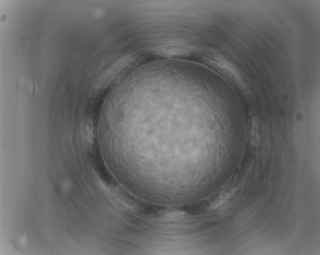 X0000063510210200601271819