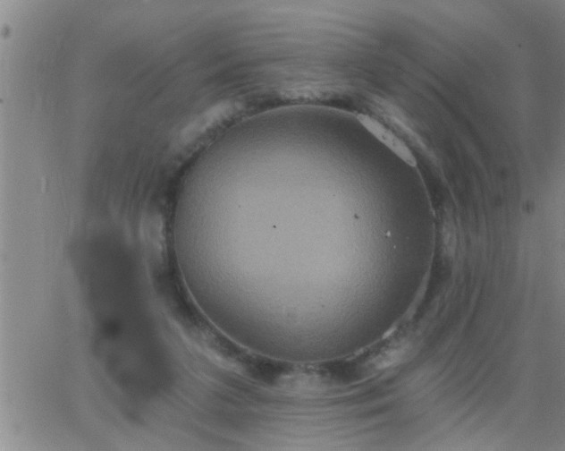 X0000063510211200601271819