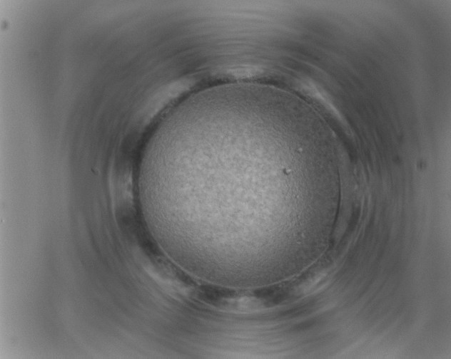 X0000063510212200601271819