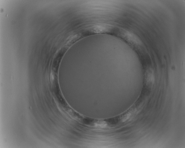 X0000063510214200601271819