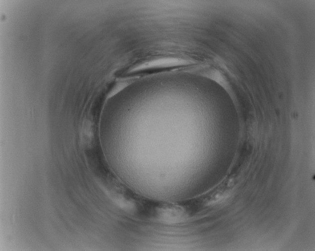 X0000063510215200601271819