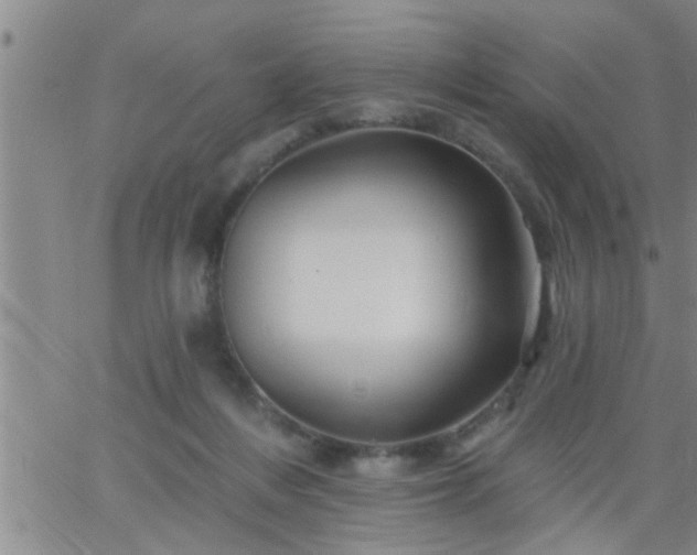 X0000063510216200601271819