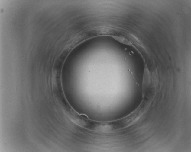 X0000063510217200601271819