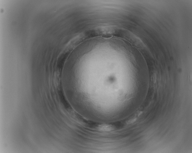 X0000063510218200601271819