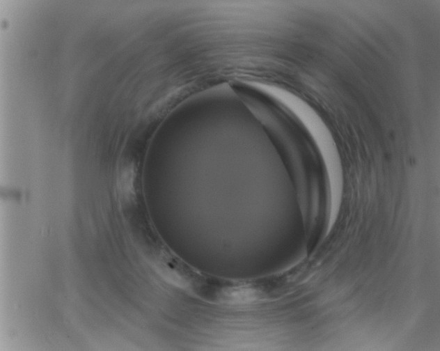 X0000063510219200601271819