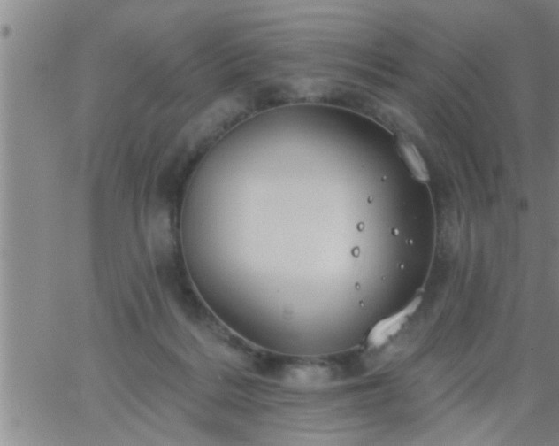 X0000063510220200601271819