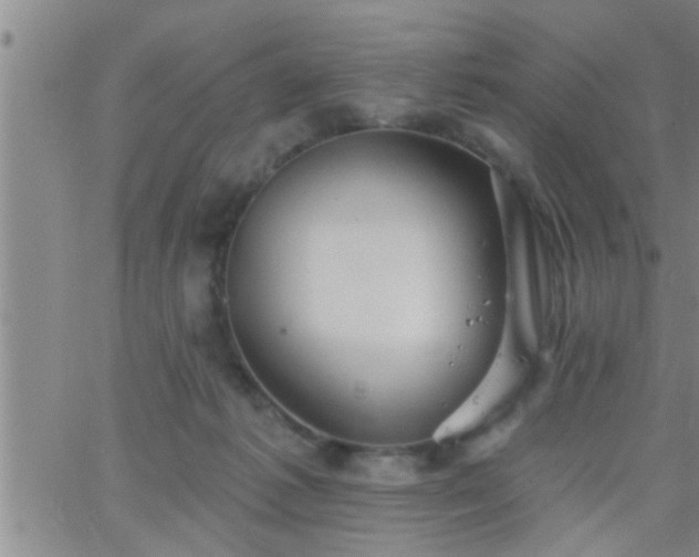 X0000063510221200601271819