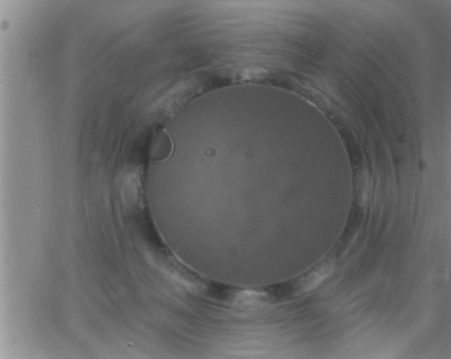 X0000063510222200601271819