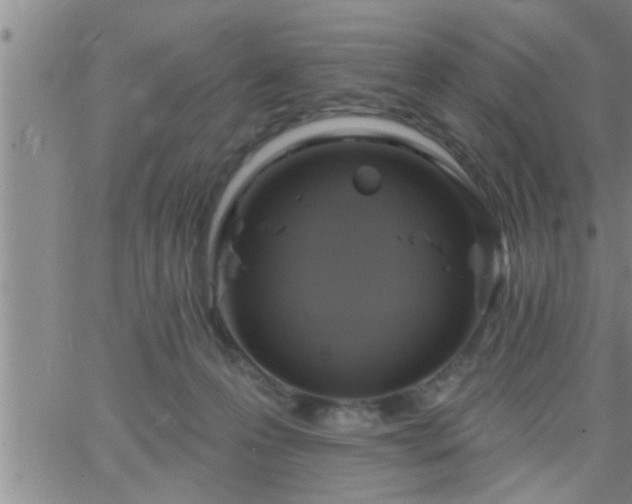 X0000063510223200601271819