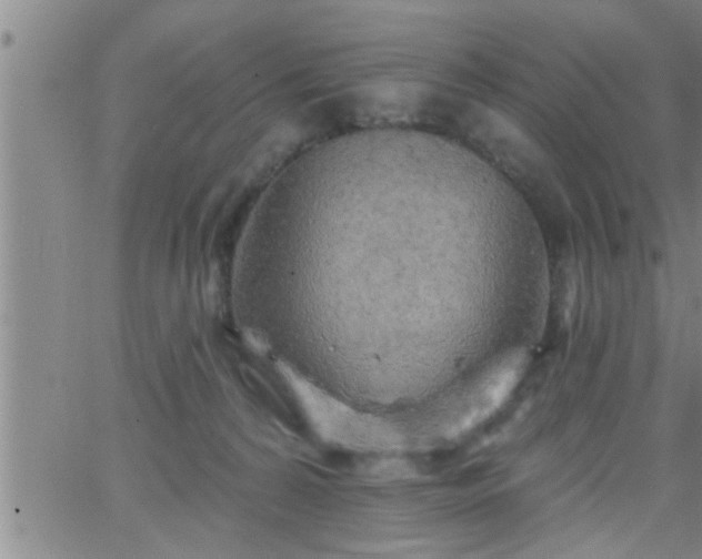 X0000063510224200601271819