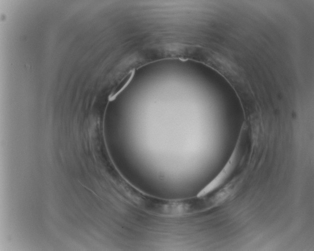 X0000063510225200601271819