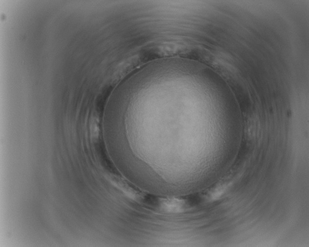 X0000063510226200601271819