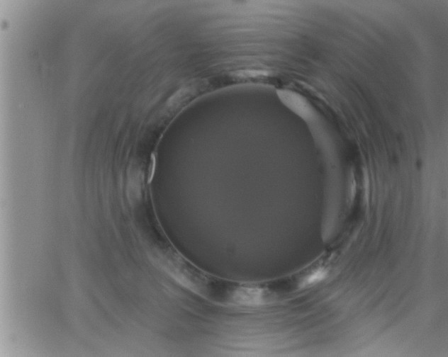 X0000063510227200601271818