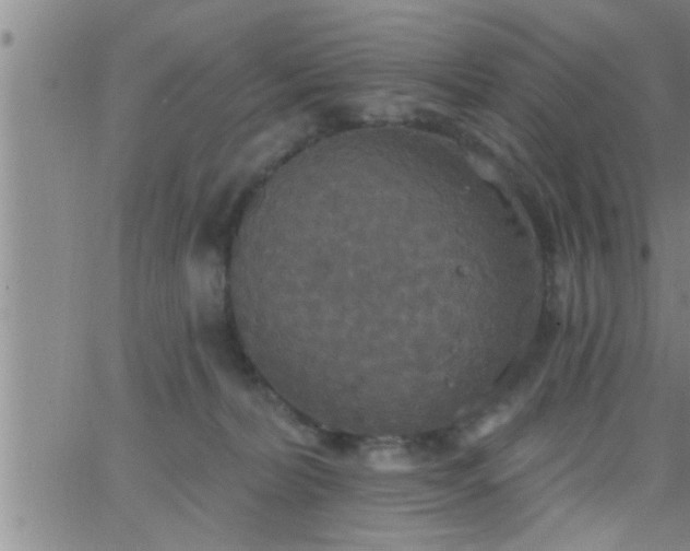 X0000063510228200601271818