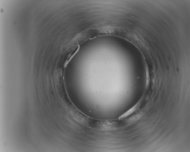 X0000063510229200601271818