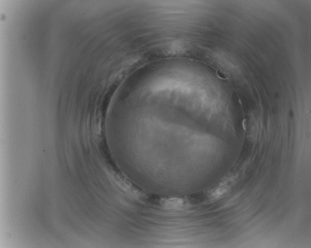 X0000063510230200601271818