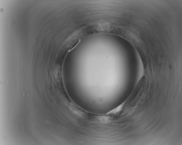 X0000063510233200601271818