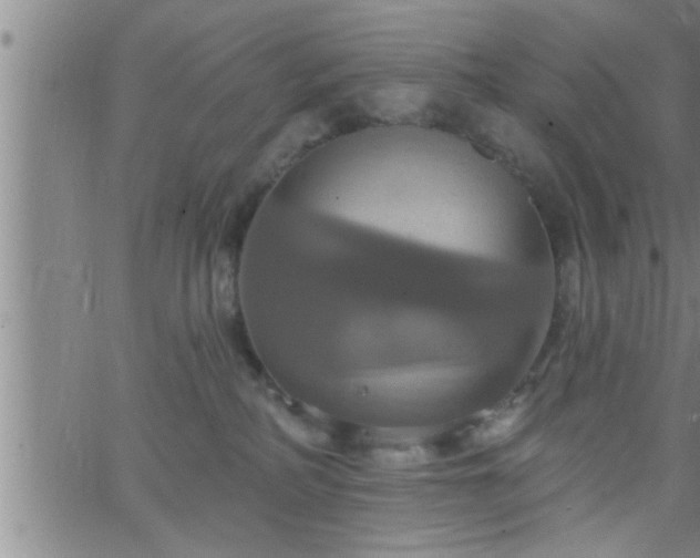 X0000063510234200601271818