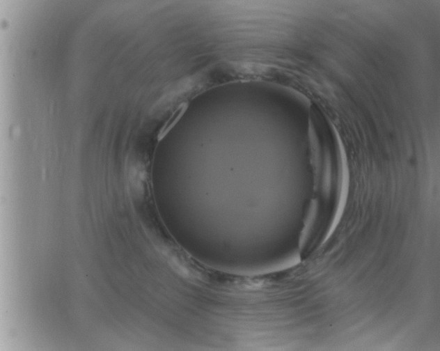 X0000063510235200601271818