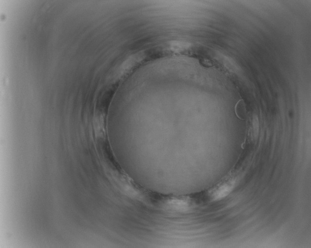 X0000063510236200601271818