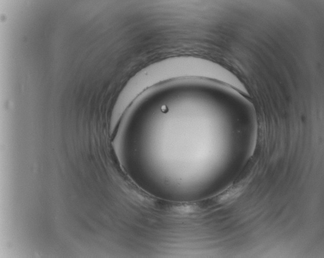 X0000063510237200601271818