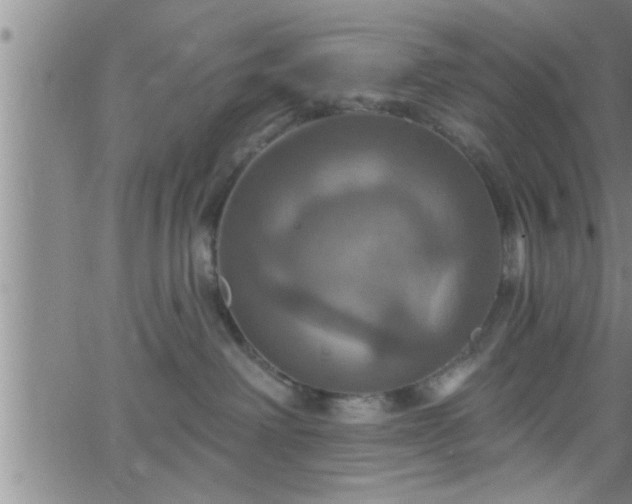 X0000063510238200601271818