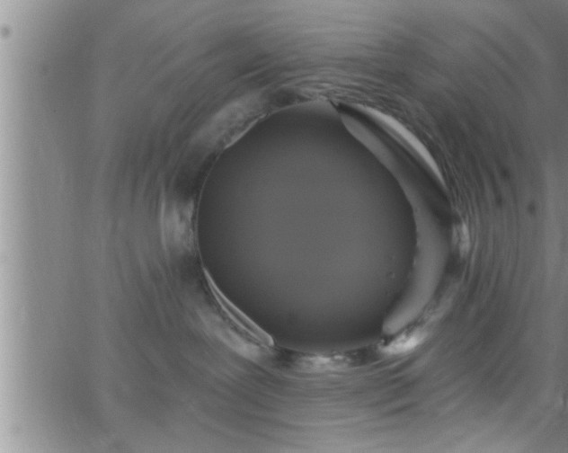 X0000063510239200601271818