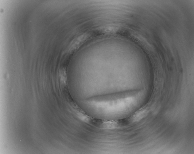 X0000063510240200601271818