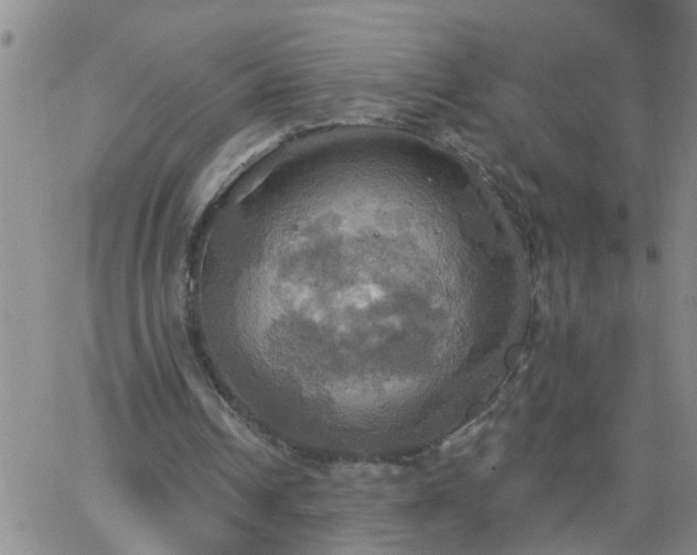 X0000063510242200601271818