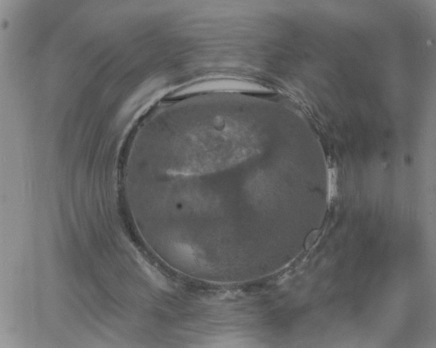 X0000063510243200601271818