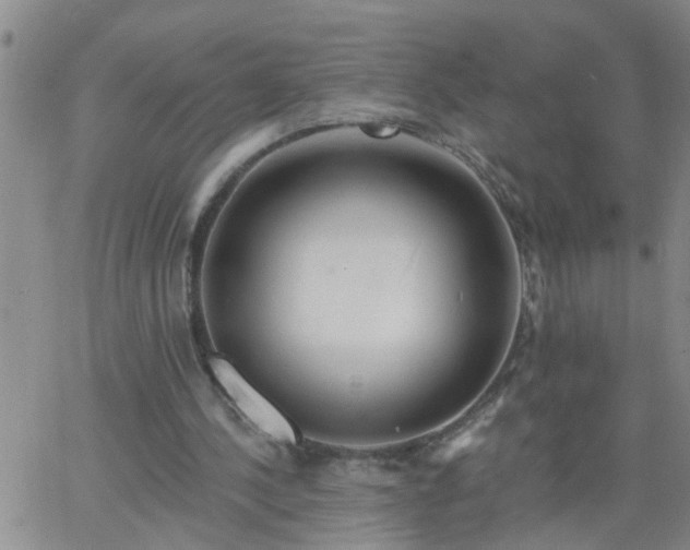 X0000063510244200601271818